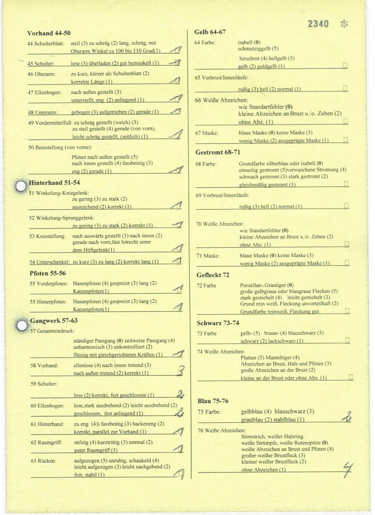 zuchtzulassung3.jpg (347632 Byte)